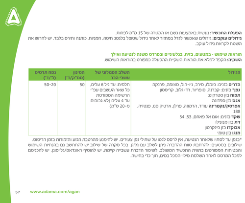 לגטו 1 ליטר