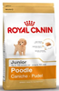 רויאל קנין מזון לכלב פודל 7.5 ק''ג על בסיס עוף Royal Canin poodle