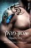 אסון מהלך (יד 2) - ג'יימי מקגווייר