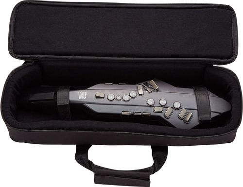 זוית נוספת Roland AE-5 Aerophone GO