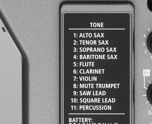 זוית נוספת Roland AE-5 Aerophone GO