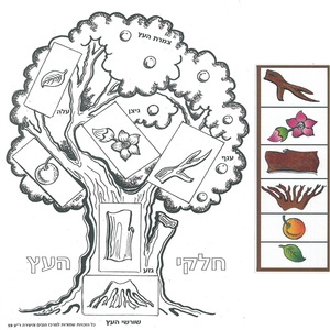 20 יצירה לצביעה והדבקה חלקי העץ + חיתוכים A4