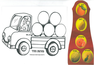 20 יצירה משאית פירות הדר