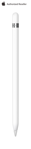 עט Apple Pencil 1st Generation 