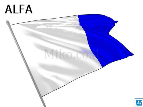 דגל אלפא - ALFA FLAG - **דגל 30*40 - הזמנה ל5 יח ומעלה**