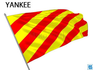 דגל יאנקי - YANKEE FLAG - **דגל 30*40 - הזמנה ל5 יח ומעלה**
