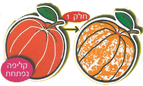 36 יצירה לצביעה קילפתי תפוז/אפונה