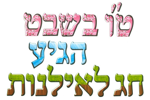 ערכת המחשה ט