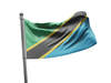 דגל טנזניה - Tanzania flag - **דגל 30*40 - הזמנה ל5 יח ומעלה**