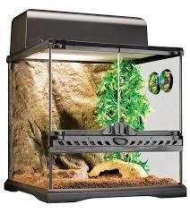 טרריום מיני אקזוטרה 30*30*30 רחב/נמוך Natural Terrarium Mini/Wide