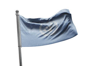 דגל האו"ם - United nations flag - **דגל 30*40 - הזמנה ל5 יח ומעלה**