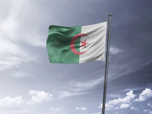 דגל אלג'יריה - Algeria flag - **דגל 30*40 - הזמנה ל5 יח ומעלה**