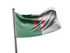 דגל אלג'יריה - Algeria flag - **דגל 30*40 - הזמנה ל5 יח ומעלה**