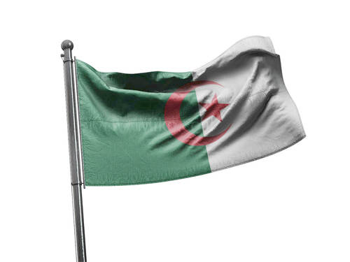 דגל אלג'יריה - Algeria flag - **דגל 30*40 - הזמנה ל5 יח ומעלה**