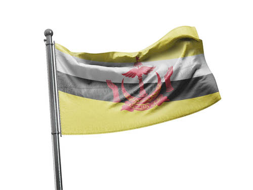דגל ברוניי - Brunei flag - **דגל 30*40 - הזמנה ל5 יח ומעלה**
