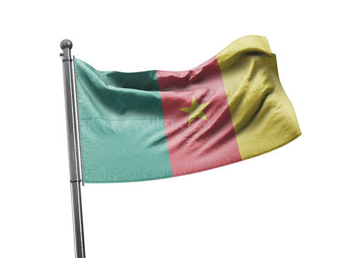 דגל קמרון - Cameroon flag - **דגל 30*40 - הזמנה ל5 יח ומעלה**