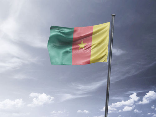 דגל קמרון - Cameroon flag - **דגל 30*40 - הזמנה ל5 יח ומעלה**