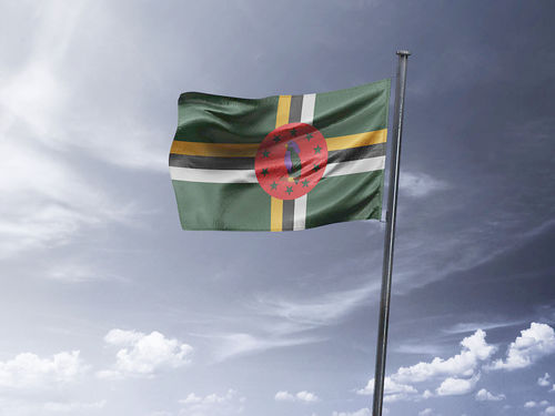 דגל דומיניקה - Dominica flag - **דגל 30*40 - הזמנה ל5 יח ומעלה**