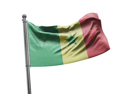 דגל סנגל - Senegal flag - **דגל 30*40 - הזמנה ל5 יח ומעלה**