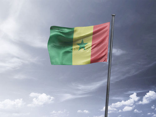 דגל סנגל - Senegal flag - **דגל 30*40 - הזמנה ל5 יח ומעלה**