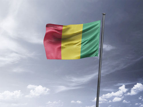 דגל גינאה - Guinea flag - **דגל 30*40 - הזמנה ל5 יח ומעלה**