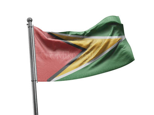 דגל גיאנה - Guyana flag - **דגל 30*40 - הזמנה ל5 יח ומעלה**