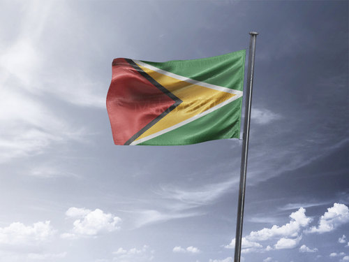 דגל גיאנה - Guyana flag - **דגל 30*40 - הזמנה ל5 יח ומעלה**