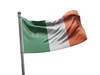 דגל אירלנד - Ireland flag - **דגל 30*40 - הזמנה ל5 יח ומעלה**