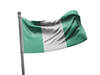 דגל ניגריה - Nigeria flag  - **דגל 30*40 - הזמנה ל5 יח ומעלה**