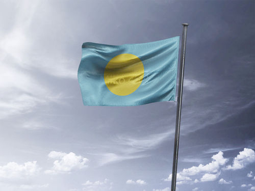 דגל פלאו - Palau flag  - **דגל 30*40 - הזמנה ל5 יח ומעלה**