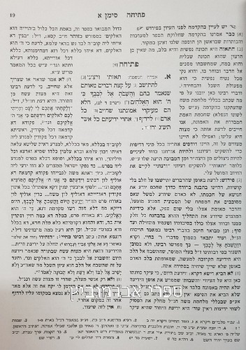 דעת תבונות לרמח"ל