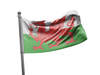 דגל ויילס - Wales flag - **דגל 30*40 - הזמנה ל5 יח ומעלה**