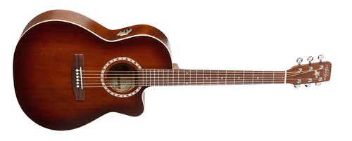גיטרה אקוסטית מוגברת עם קאטוואי Art & Lutherie Cedar CW QI