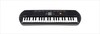 אורגנית קסיו CASIO SA-77