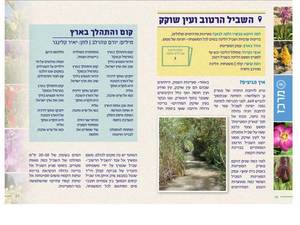 "Derech Eretz" on the paths of flowering and spring