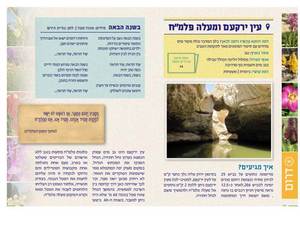 "Derech Eretz" on the paths of flowering and spring