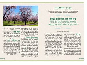 "Derech Eretz" on the paths of flowering and spring