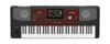 אורגן קורג KORG PA700
