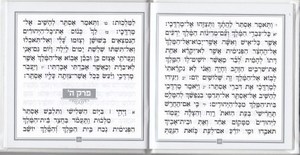 Megillat Esther leather-like square format