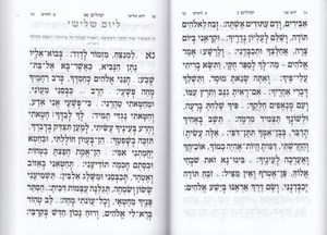 Colorful Tehilim Soft Cover - small format