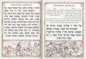 Megillat Esther - with silver decorations and embossing on the cover