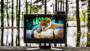 SmallHD 1703 HDR