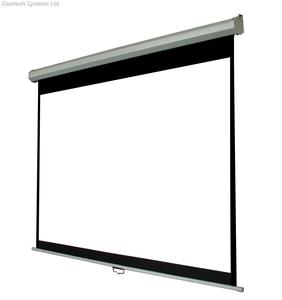 מסך הקרנה ידני 244X244 Audio Line