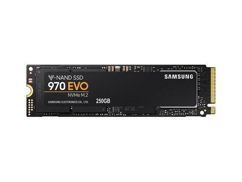 Samsung 970 EVO 250GB SSD Z060002500