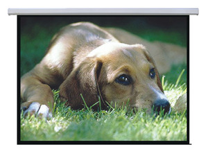 מסך הקרנה גלילה חשמלי 366X366 ס"מ Audio Line