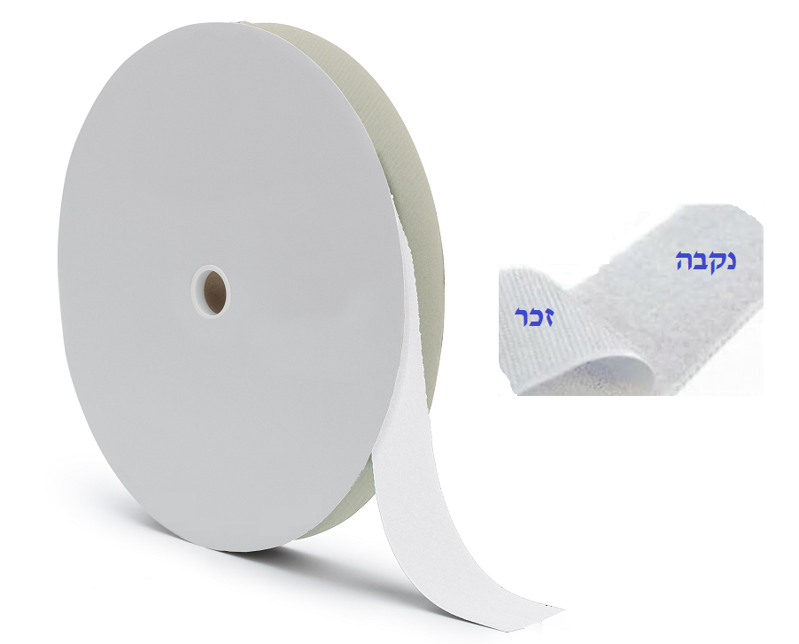 רצועת סקוטץ