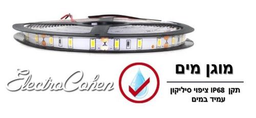 פס לד מוגן מים באורך 5 מטר - 60 נורות לד למטר לבן קר / לבן חם / כחול
