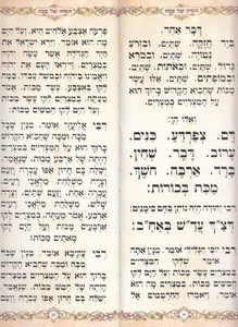 Passover Haggadah with silver stamping