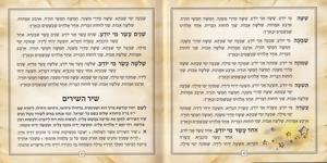 Passover Haggadah Square Format