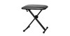 כסא לאורגן מושב בוד WARWICK ROCKSTAND RS22900
